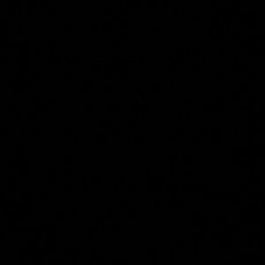 Meet your Posher, Georgina